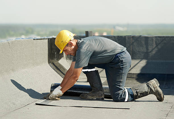 Best Weatherproofing Services  in Fort Pierre, SD